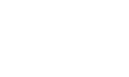 logo light